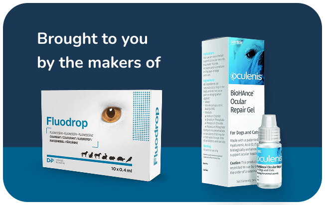 Brought to you by the makers of Fluodrop and Oculenis 3D.